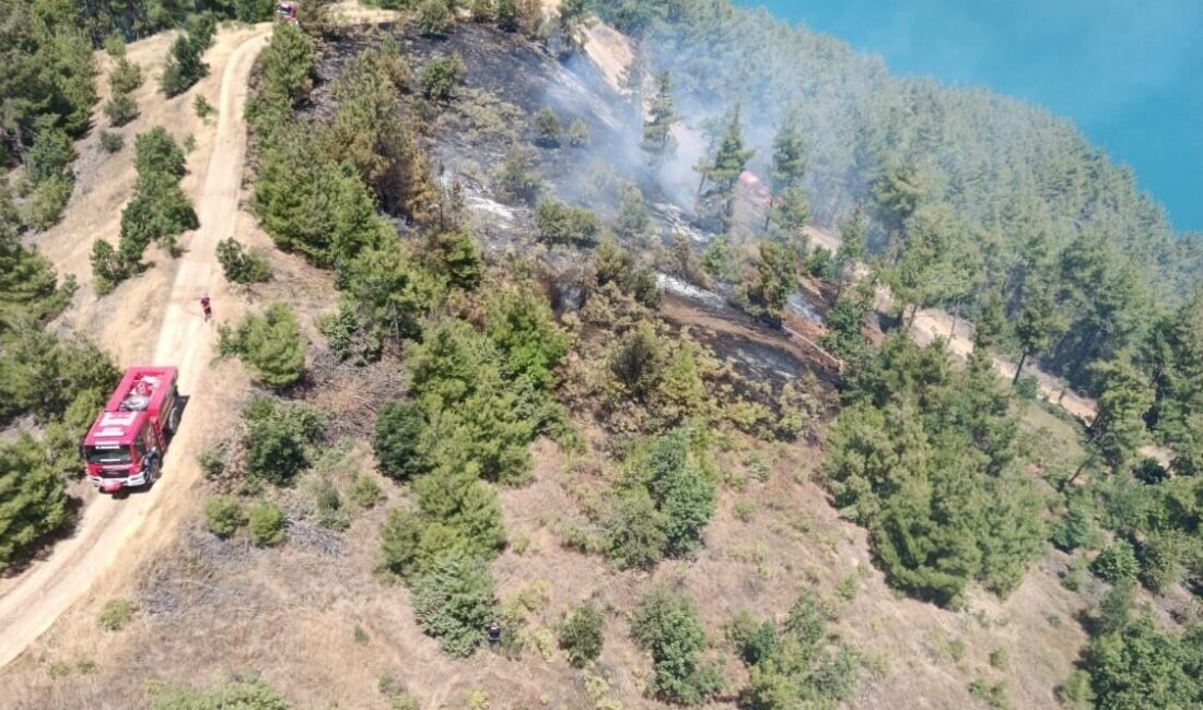 Kahramanmaraş’ta Bulutoğlu Mahallesi’ndeki ormanlık alanda çıkan yangın, ekiplerin hızlı müdahalesi