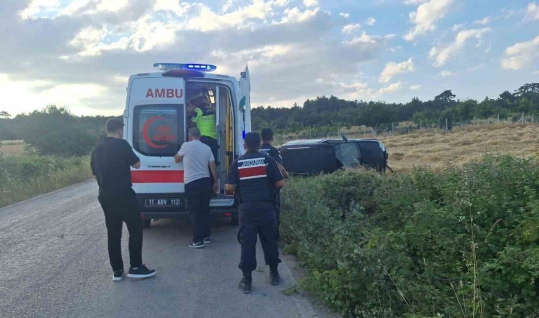 Bilecik ilinde, bir sürücünün kontrolünü kaybettiği kamyonetin tarlaya devrilmesi sonucu