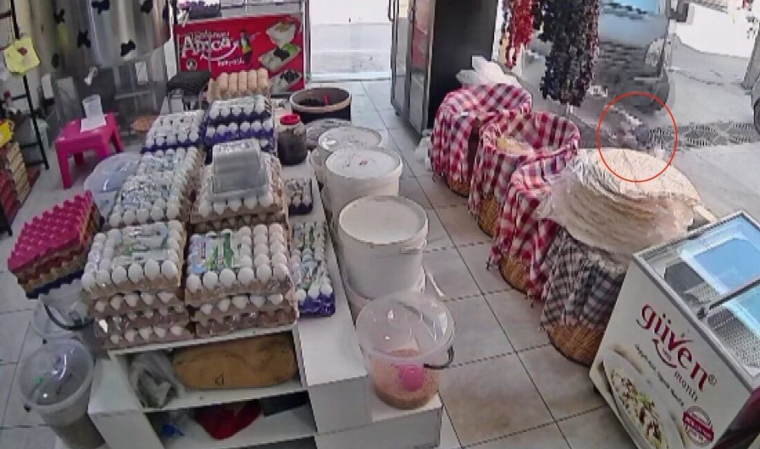 Osmangazi ilçesinde bir ara sokağa dönen UPS kargo şirketine ait