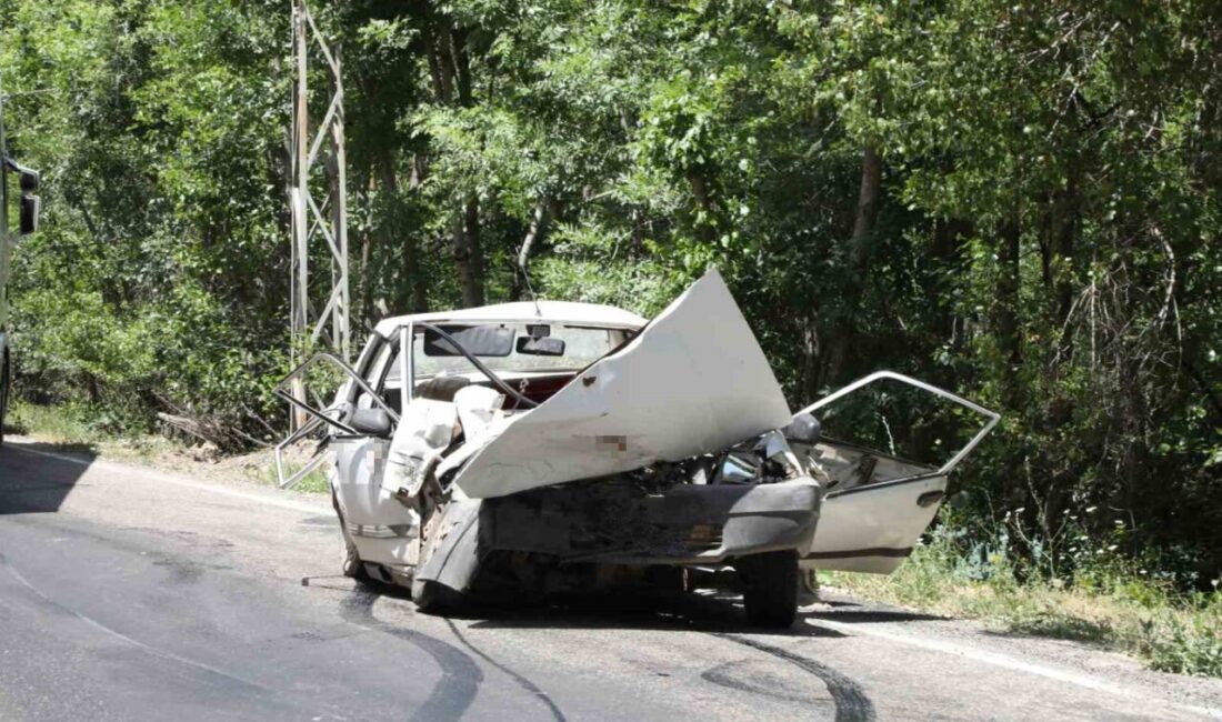 Tunceli’de yaşanan bir trafik kazasında, bir kamyonetle çarpışan Fiat Tofaş