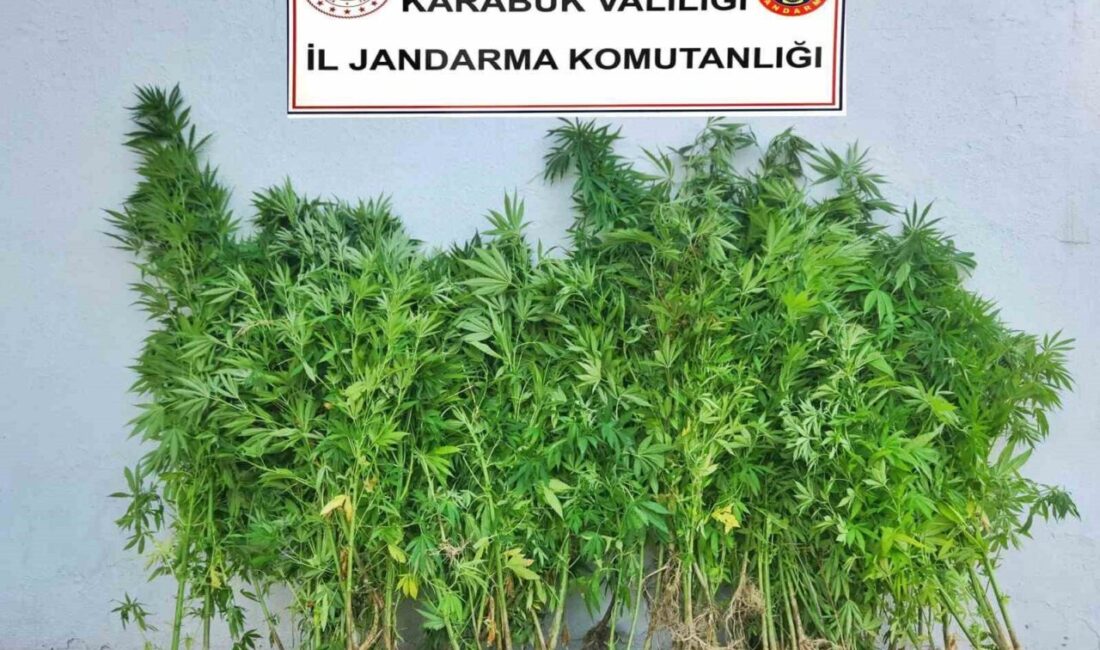 Karabük’te gerçekleştirilen dört ayrı uyuşturucu operasyonunda 6 şüpheli gözaltına alındı
