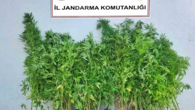 Karabük’te gerçekleştirilen dört ayrı uyuşturucu operasyonunda 6 şüpheli gözaltına alındı