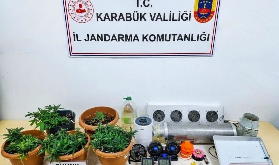 Karabük’te jandarma ekipleri tarafından düzenlenen operasyonlarda skunk bitkisi, sentetik kannabinoid