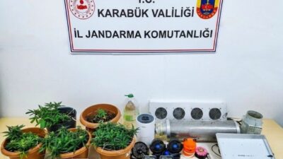 Karabük’te jandarma ekipleri tarafından düzenlenen operasyonlarda skunk bitkisi, sentetik kannabinoid