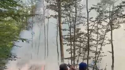 Bursa’nın Karacabey ilçesinde meydana gelen orman yangınına müdahale ediliyor. Şahmelek
