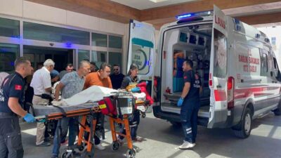 Karaman’da iddiaya göre sahibinden kaçan Belçika kurdu cinsi köpeğin 3