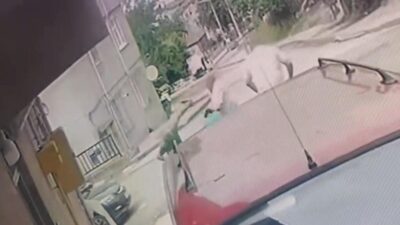 Ordu’nun Fatsa ilçesindeki bir arazi anlaşmazlığı sebebiyle husumet yaşayan bir