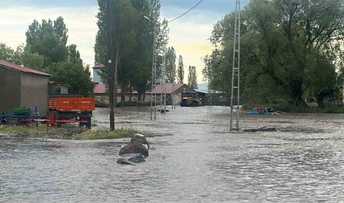 Arpaçay ilçesine bağlı Tepeçik köyünde meydana gelen sağanak yağış nedeniyle