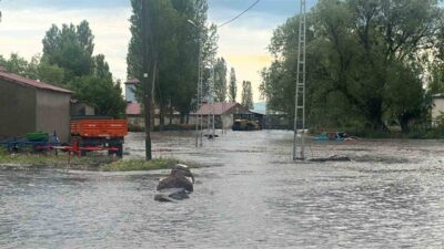 Arpaçay ilçesine bağlı Tepeçik köyünde meydana gelen sağanak yağış nedeniyle