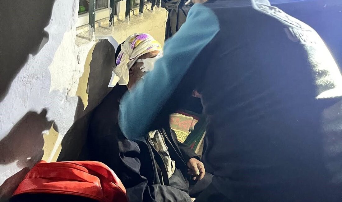 Kars’ta, Çiçekli Köyü Yaylası’nda yaşanan olayda düşerek yaralanan 81 yaşındaki