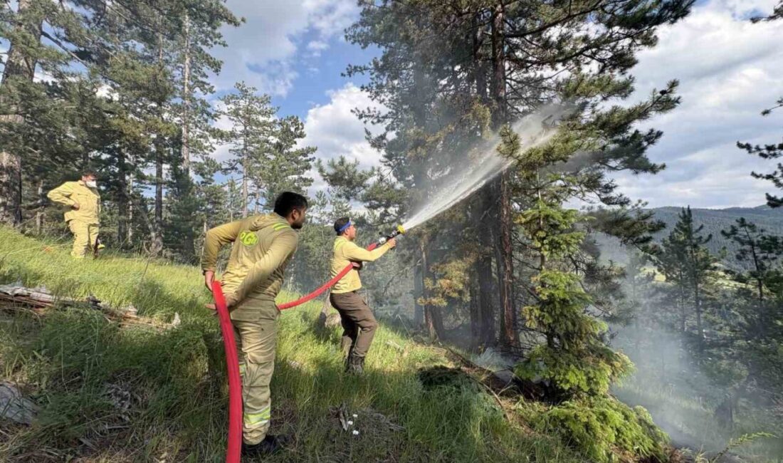 Kastamonu’nun Tosya ilçesinde meydana gelen orman yangınında yaklaşık olarak 7,5