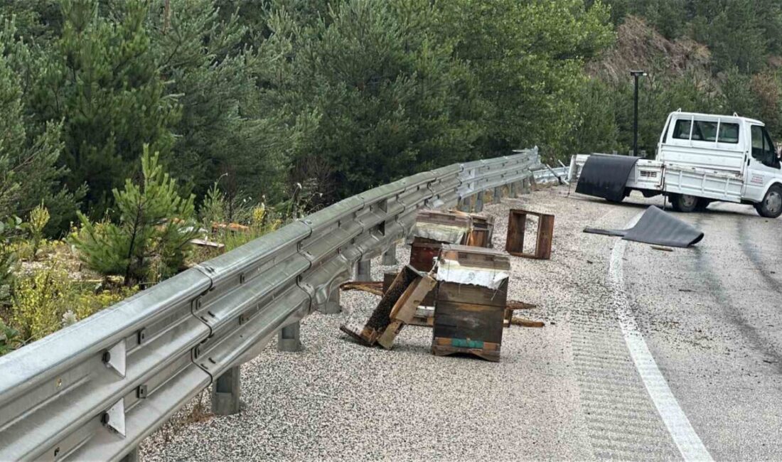 Kastamonu’nun Devrekani ilçesinde meydana gelen trafik kazasında, bariyerlere çarpan kamyonette