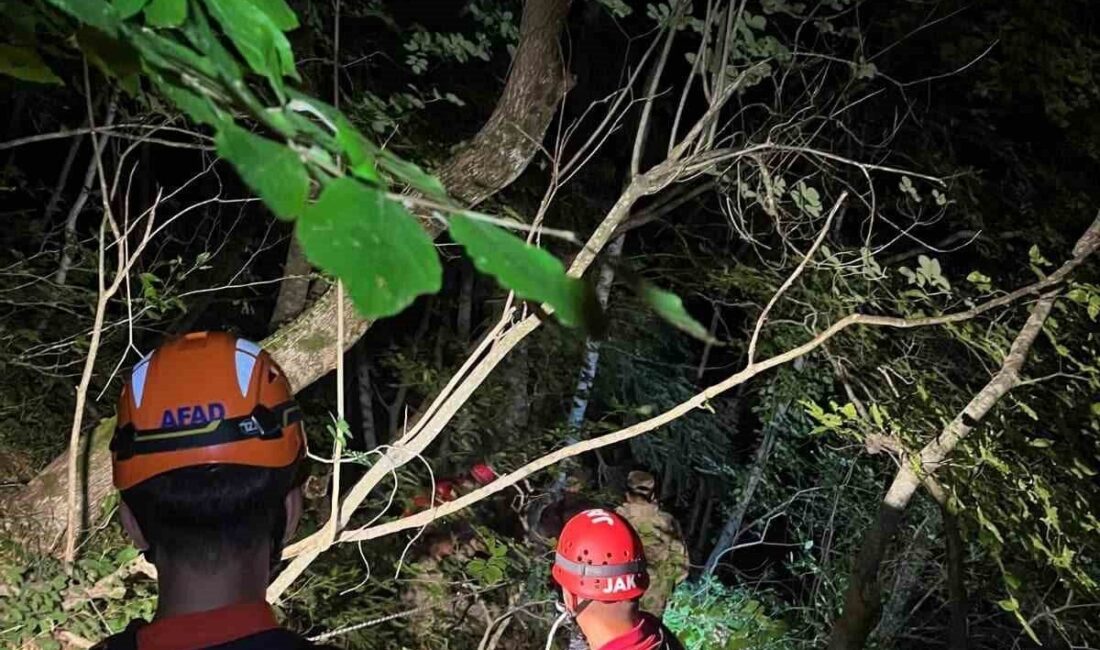 Kastamonu’nun Çatalzeytin ilçesinde bir kişi, dengesini kaybederek uçuruma düştü ancak