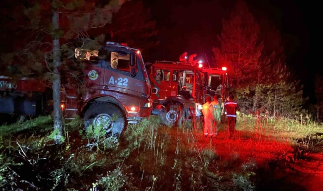 Kastamonu’da çıkan orman yangını, akşam saatlerinde Kızılkese köyü Kargın Mahallesi’nde