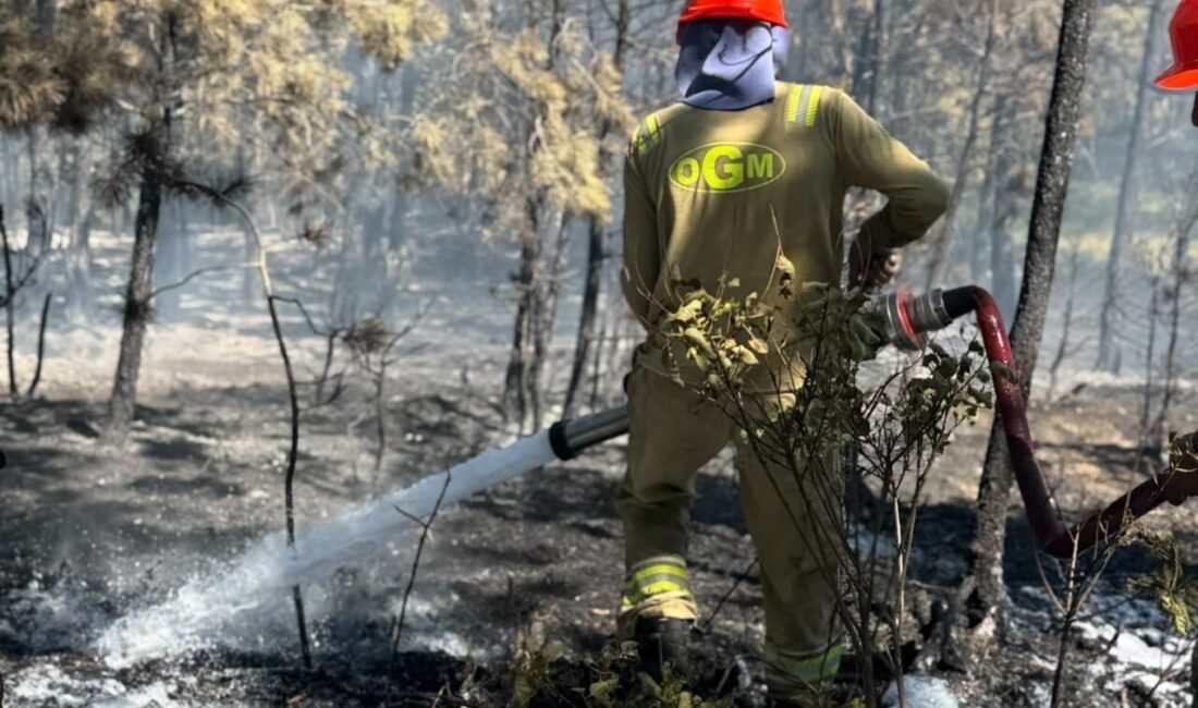 Kastamonu’da, Kızılseke köyü yakınlarındaki ormanlık alanda çıkan yangın, hızlı müdahale
