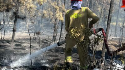 Kastamonu’da, Kızılseke köyü yakınlarındaki ormanlık alanda çıkan yangın, hızlı müdahale