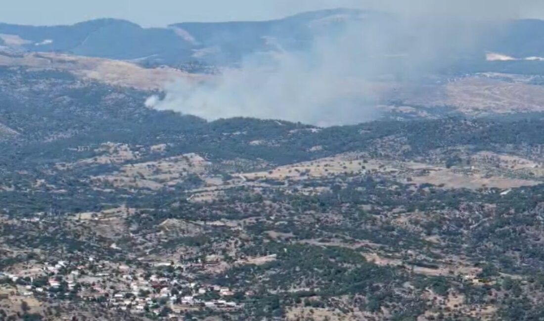 Muğla’nın Kavaklıdere ilçesindeki ormanlık alanda çıkan yangın, bugün öğleden sonra