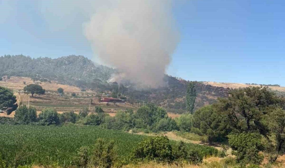 Muğla’nın Kavaklıdere ilçesindeki ormanlık alanda çıkan yangın söndürme çalışmaları hala