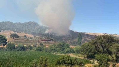 Muğla’nın Kavaklıdere ilçesindeki ormanlık alanda çıkan yangın söndürme çalışmaları hala