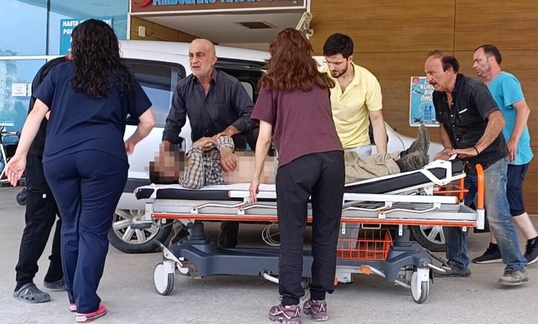 Bursa’nın İnegöl ilçesinde bir cami imamı, mantar toplamak için gittiği