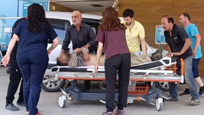 Bursa’nın İnegöl ilçesinde bir cami imamı, mantar toplamak için gittiği