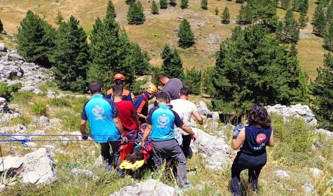 Konya’nın Seydişehir ilçesinde bir kişi, kekik toplamak için dağda olduğu