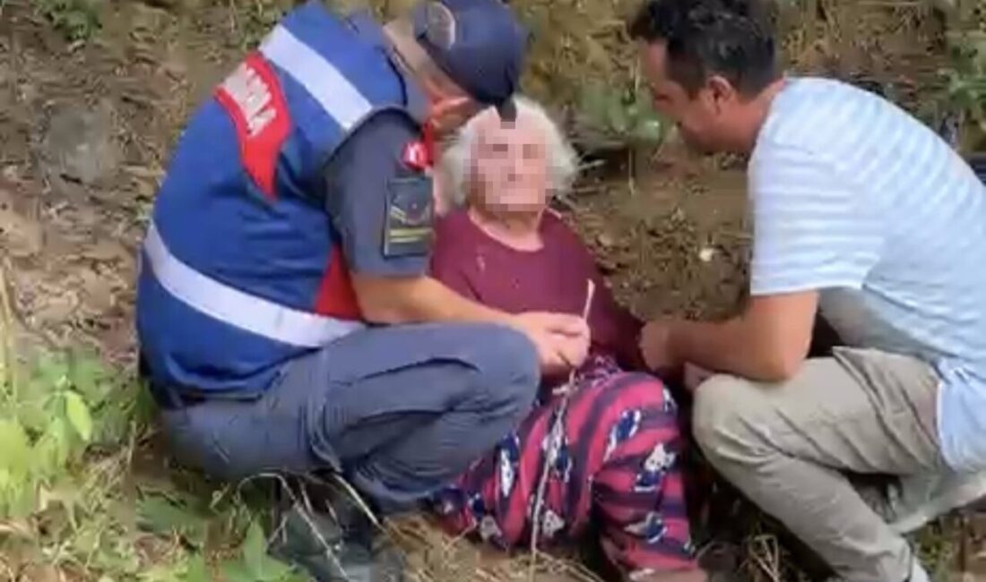 Alzheimer hastası olan 80 yaşındaki Melahat Kol, gece geç saatlerde