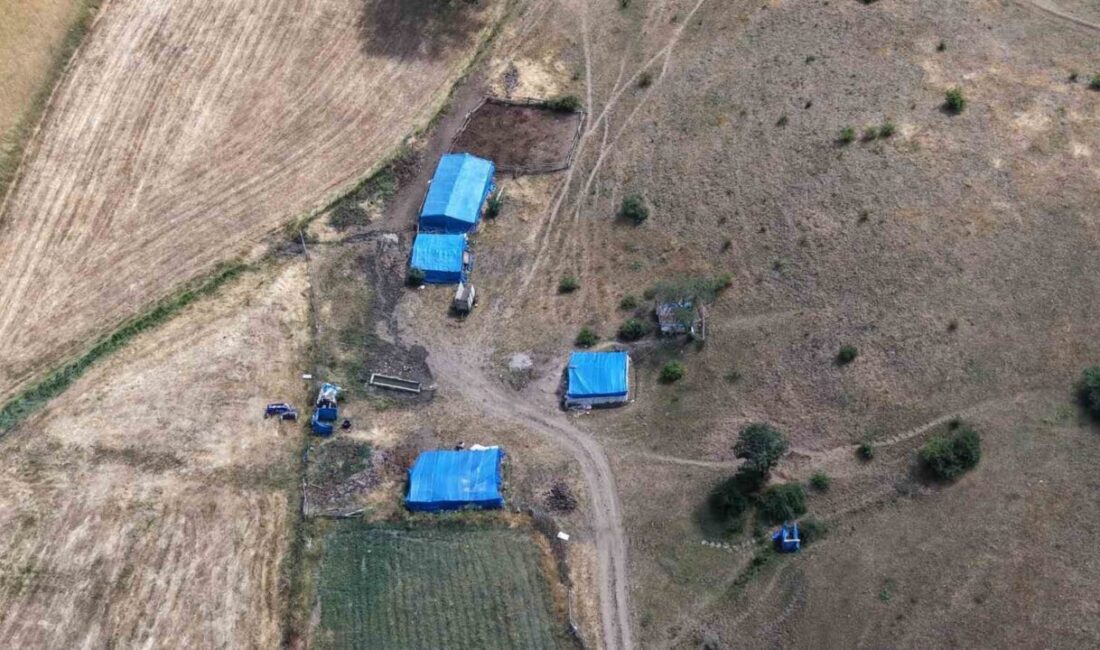 Turhal ilçesinde 10 Temmuz 2018’de kaybolan 3,5 yaşındaki Evrim Atış’a