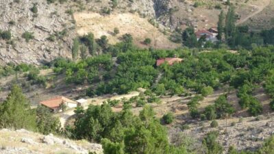Malatya’da 19 Mart’tan bu yana kayıp olan ve cinayete kurban