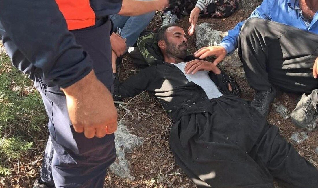 Mersin’in Erdemli ilçesinde, ormandan geri dönmemesi üzerine kaybolan bir kişi,