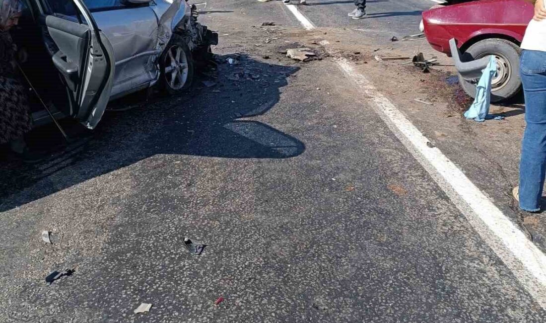 Felahiye ilçesinde meydana gelen trafik kazasında bir kişi hayatını kaybetti