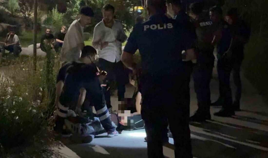 Kayseri’nin Talas ilçesinde bulunan bir parkta meydana gelen bıçaklı kavgada,
