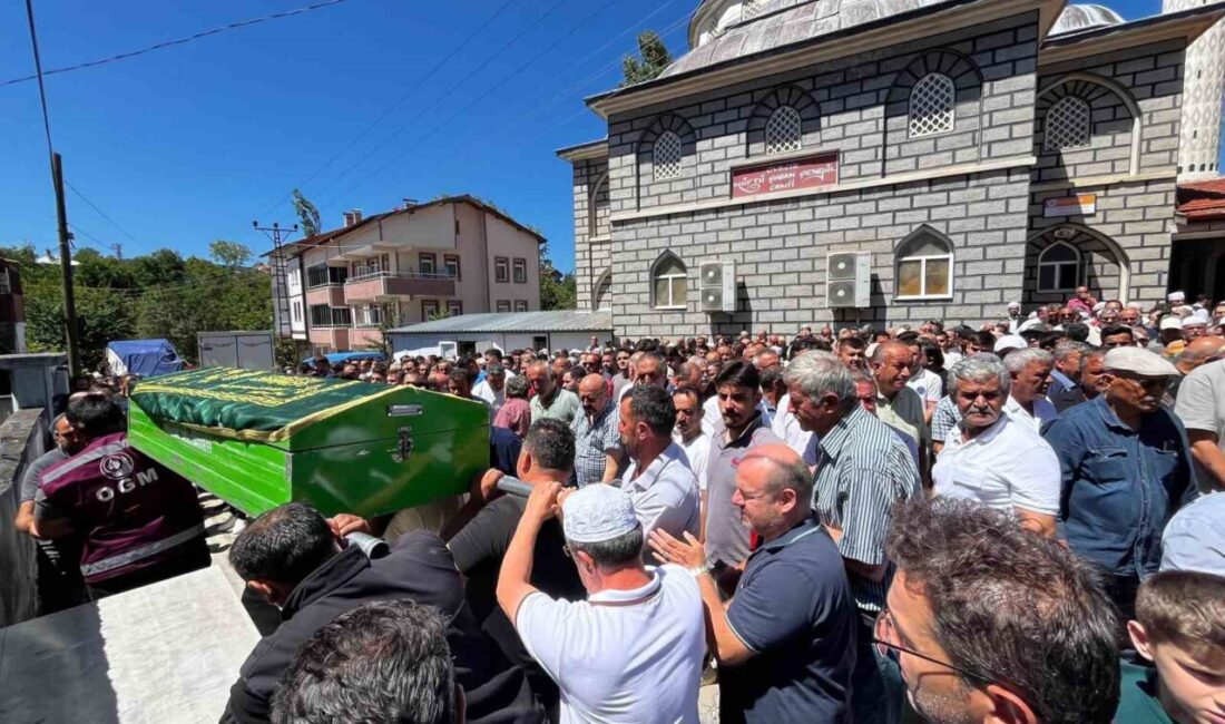 Uşak-İzmir kara yolunda meydana gelen trafik kazasında hayatını kaybeden tır