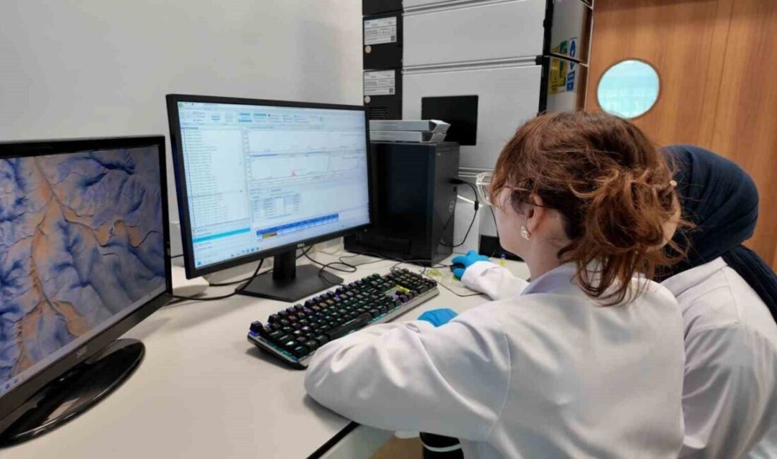 Karabük Üniversitesi’nde yürütülen bir proje kapsamında, TÜBİTAK’ın desteklediği 1005 projesi
