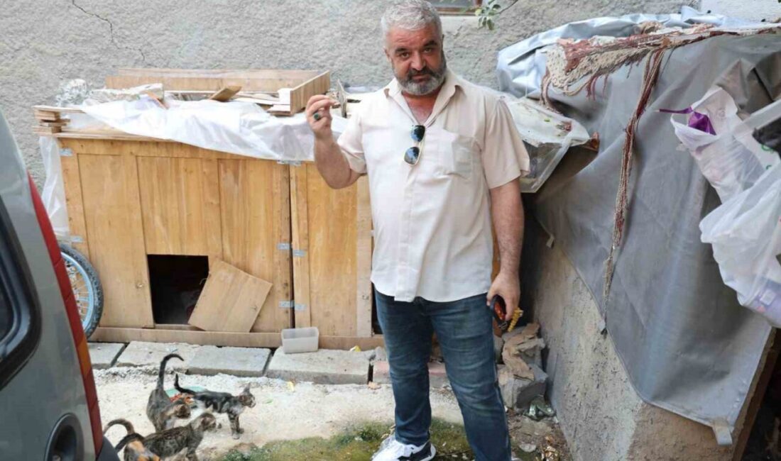 Adana’da kimliği belirsiz bir şahsın, sokak kedileri için ağaca asılan