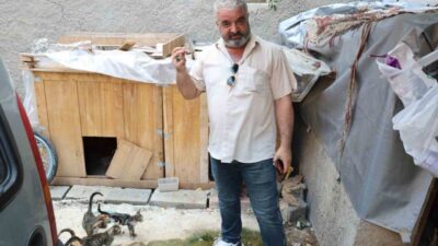 Adana’da kimliği belirsiz bir şahsın, sokak kedileri için ağaca asılan