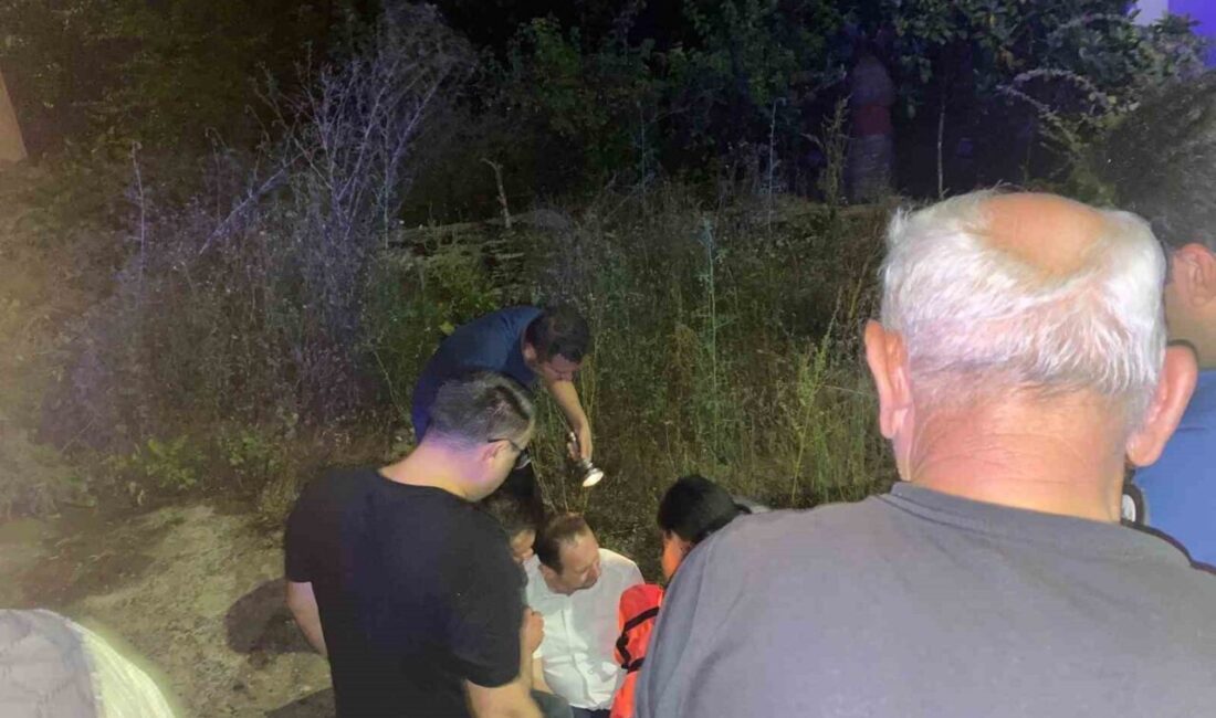 Bartın ilinde bir vatandaş, kedileri beslemek isterken yan bahçeye düşerek