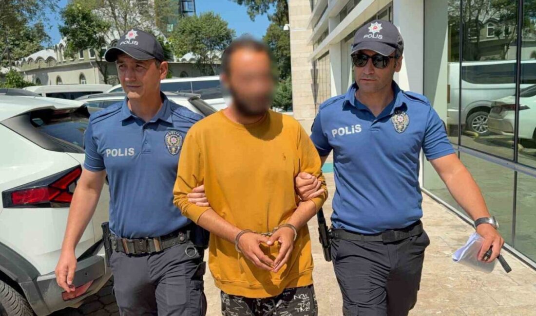 Samsun’un İlkadım ilçesinde bir kediye tekme atan ve güvenlik kamerasına