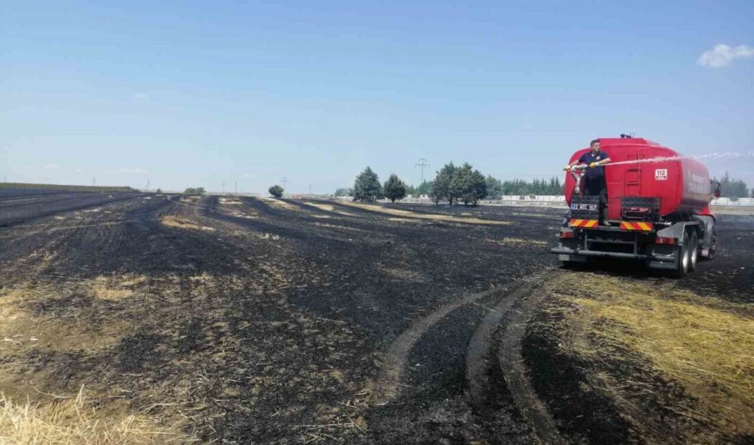Edirne’nin Keşan ilçesine bağlı Yeniceçifylik köyünde meydana gelen yangında, 12