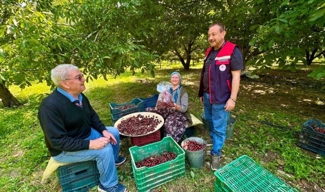 Afyonkarahisar İl Tarım ve Orman Müdürlüğü ekipleri, tüketici sağlığını korumak