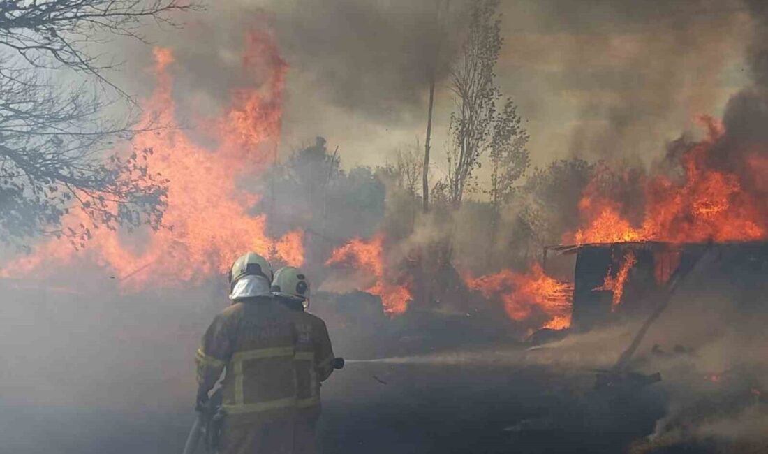 Kırıkkale’de Ahıllı Mahallesi Ömerli mevkisinde otluk alanda çıkan yangın, itfaiye