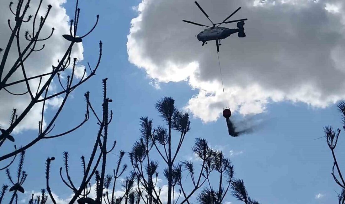 Kırklareli’nin Babaeski ilçesine bağlı Sofuhalil köyünde meydana gelen arazi yangını,