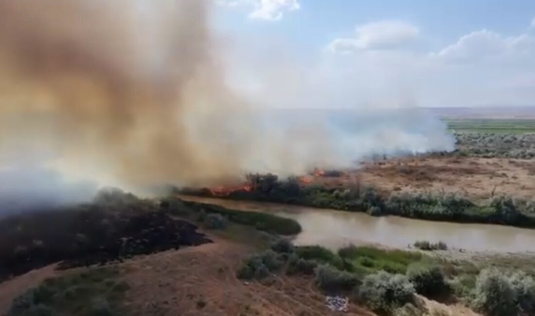 Kızılırmak Nehri çevresinde, Çankırı’nın Kızılırmak ilçesinde meydana gelen örtü yangını,
