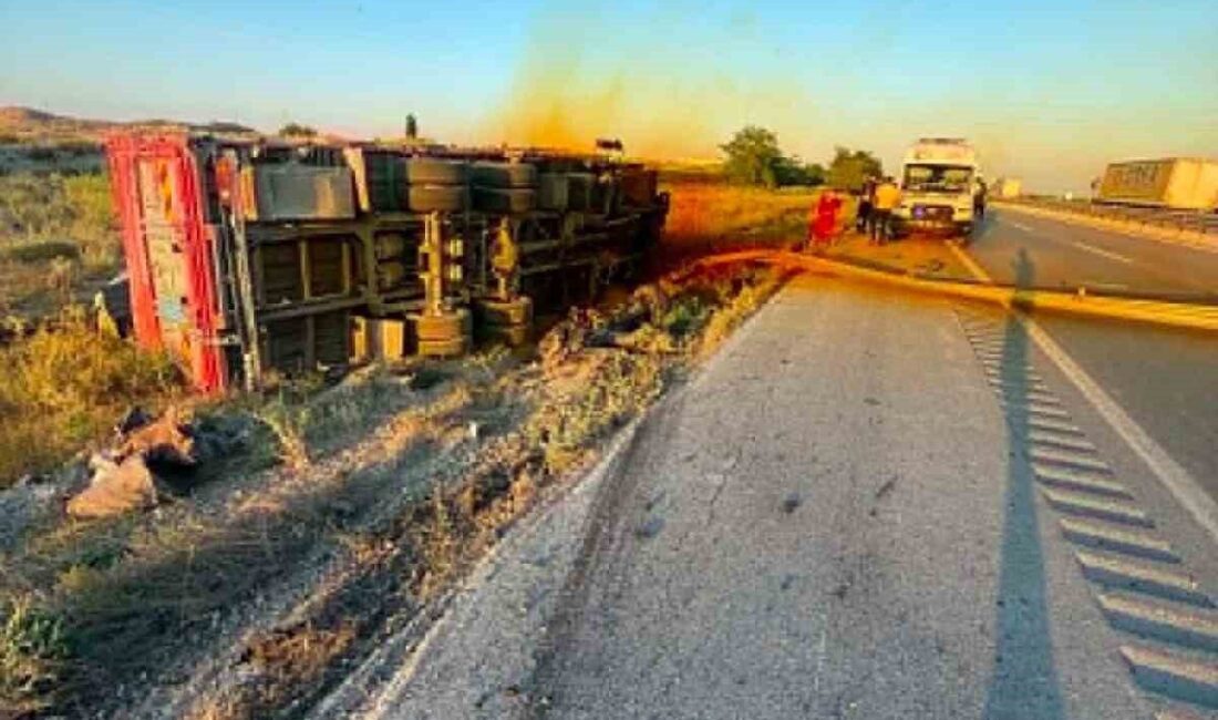 Kontrolden çıkan bir kamyonun şarampole devrilmesi sonucu sürücünün yaralandığı bir