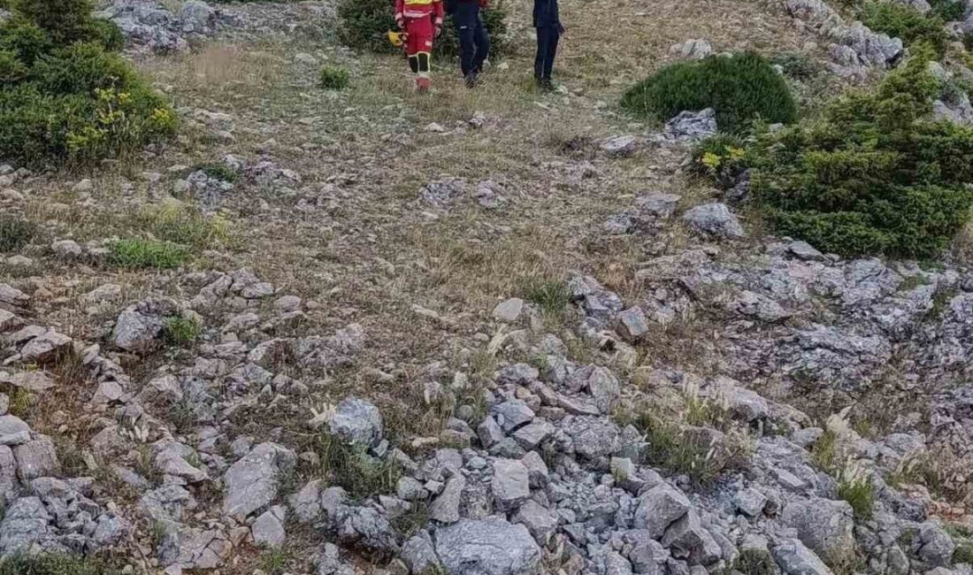 Konya’nın Seydişehir ilçesinde, 65 yaşındaki Firdevs Üner adlı kadın, hayvanlarını