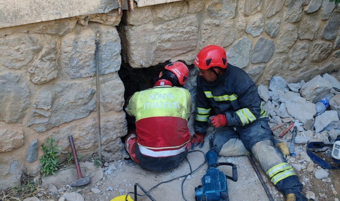 Seydişehir ilçesinde, bir binanın duvarı arasında sıkışıp kalan bir kedi,