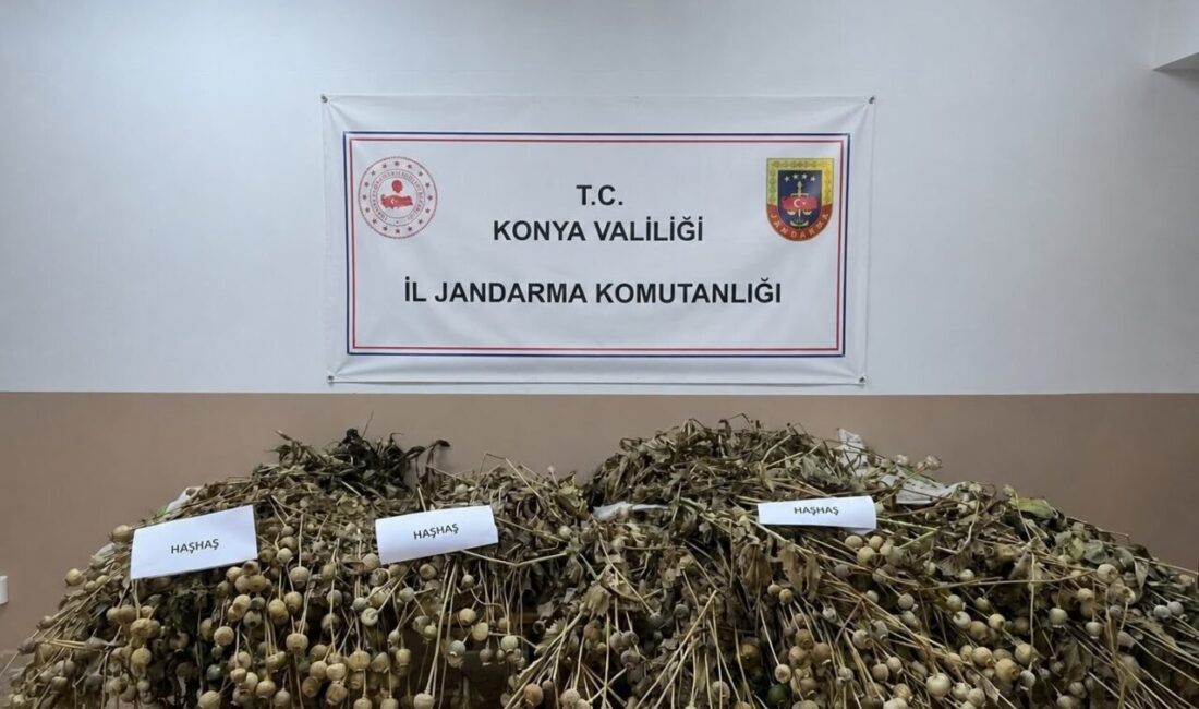 Konya’da Jandarma ekiplerinin gerçekleştirdiği operasyonlarda önemli miktarda uyuşturucu madde ele