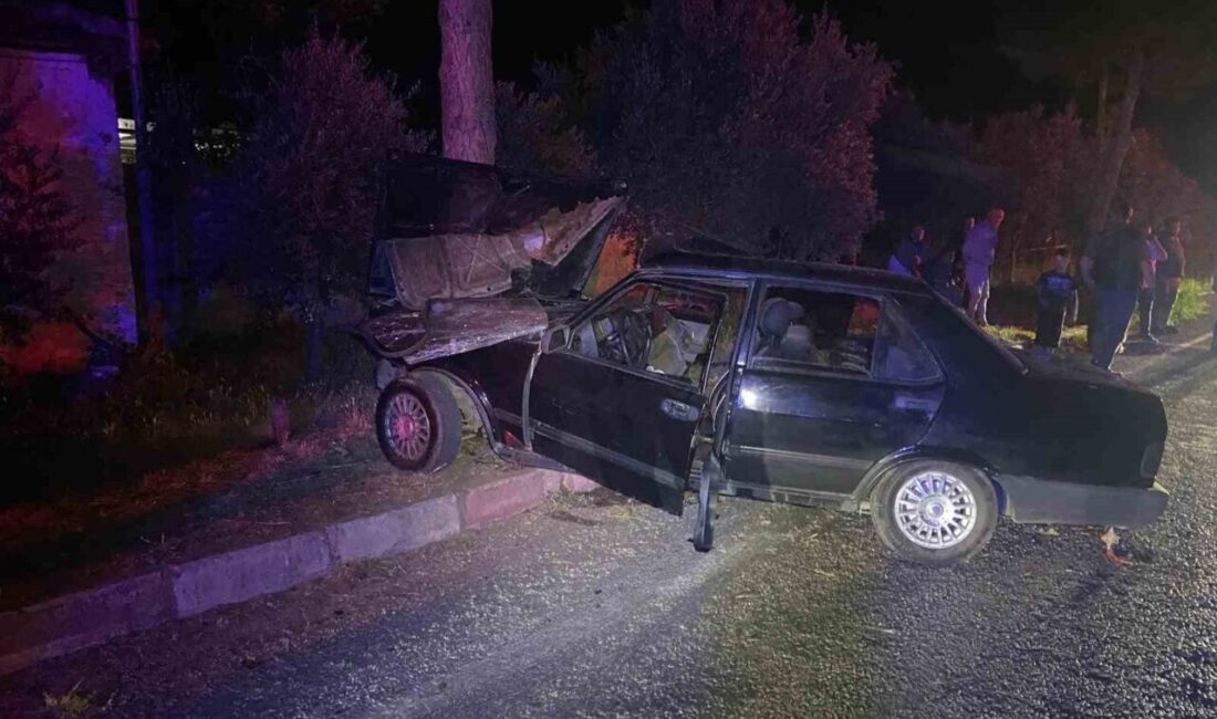 İzmir’in Ödemiş ilçesinde, bir sokak köpeği nedeniyle manevra yapmaya çalışan