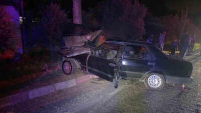 İzmir’in Ödemiş ilçesinde, bir sokak köpeği nedeniyle manevra yapmaya çalışan