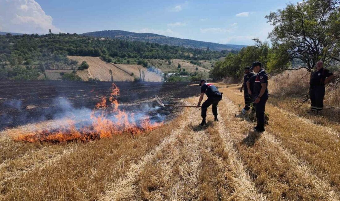 Karabük ilinde Çerçiler köyü yakınlarında meydana gelen anız yangını, geniş